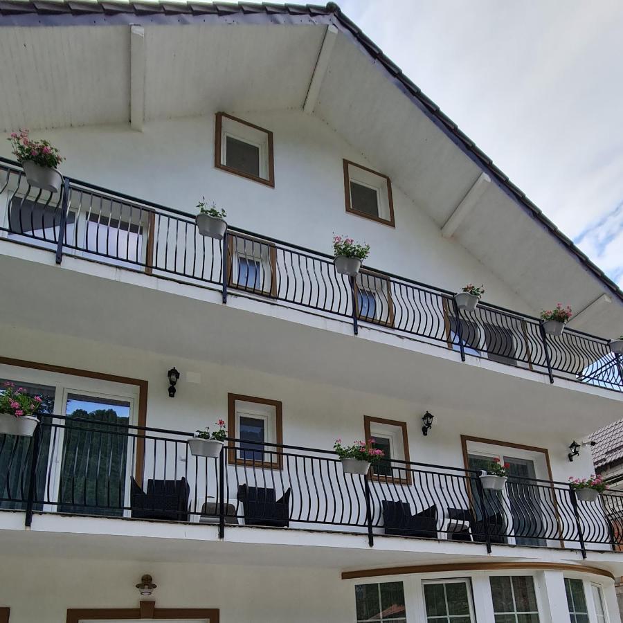 Casa Anne Hotel Băile Herculane Exterior foto